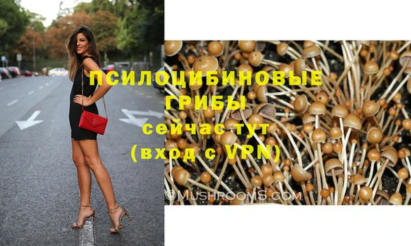 герыч Дмитровск