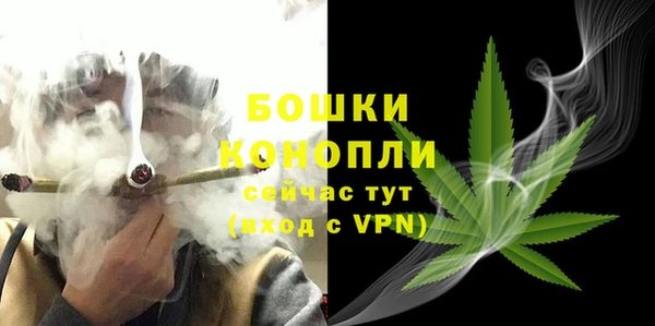 МДПВ Дмитров