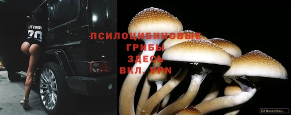 мескалин Дмитриев