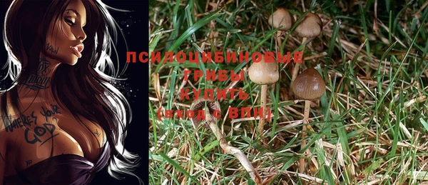 МДПВ Дмитров