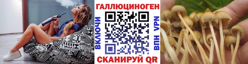 Псилоцибиновые грибы ЛСД  ссылка на мегу ССЫЛКА  Пласт 