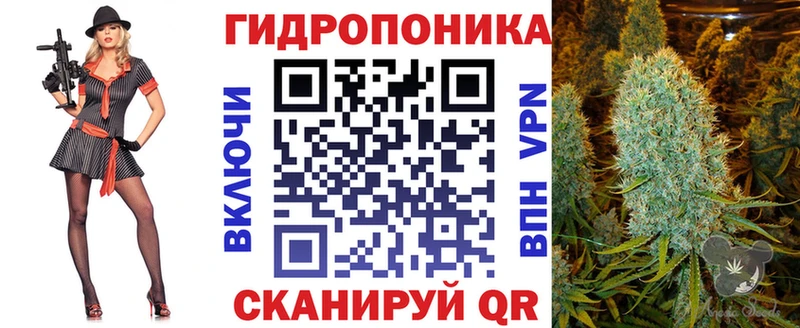 Бошки Шишки план  где можно купить наркотик  Пласт 